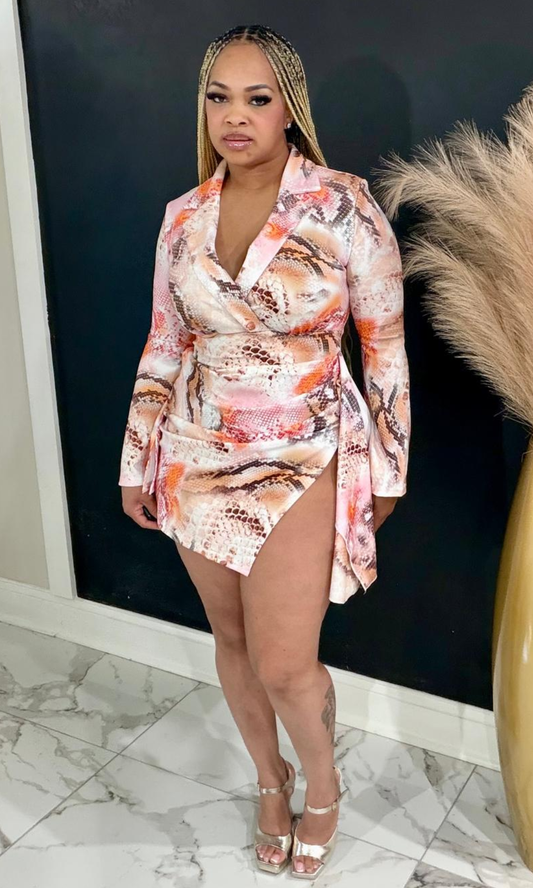 Classical Print Dress