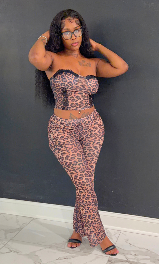 Sexy Leopard Tube 2pc Set